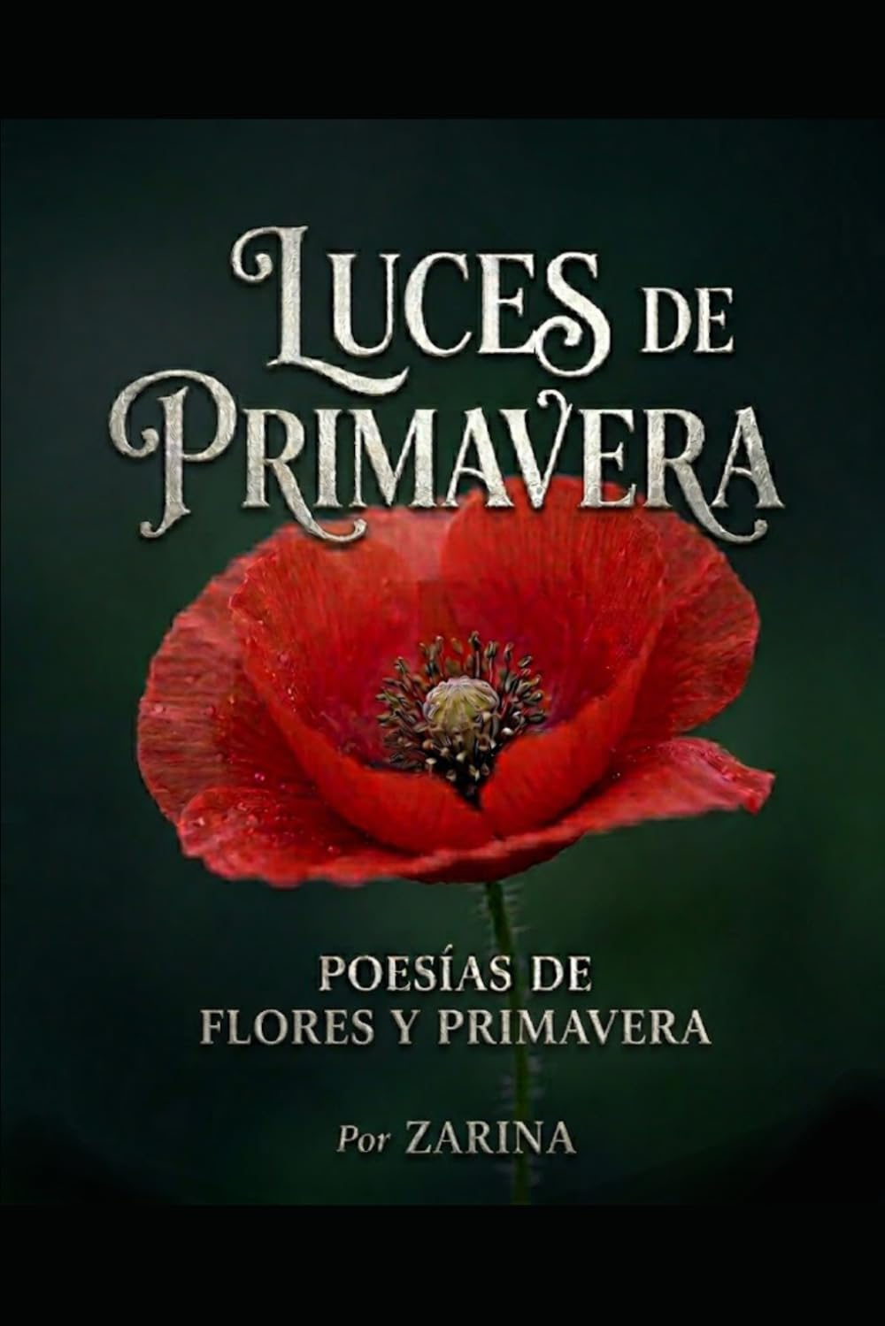 Luces de primavera: Sentimientos de un jardín en flor