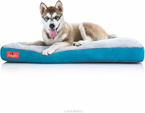Miniatura 8 de BRINDLE Cama para perros de espuma viscoelástica con cubierta lavable extraíble, Verde azulado