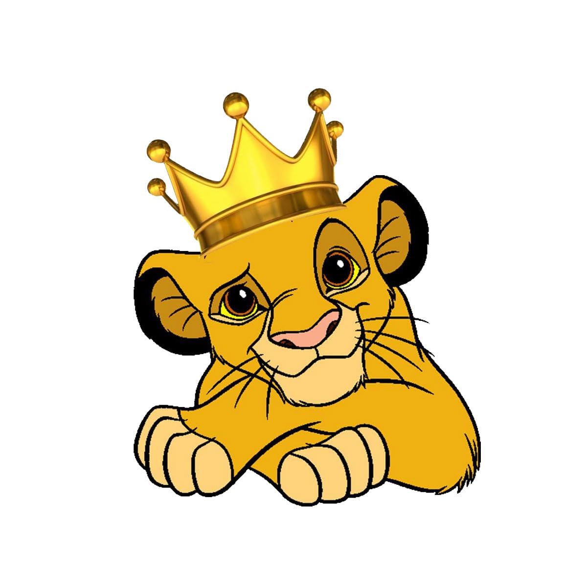 Sagoma figura in legno e carta Personaggio a scelta grandezza Altezza naturale con Piede Autoportante Ideale per Compleanni Feste Realizzato in legno Resistente (Simba Re Leone)