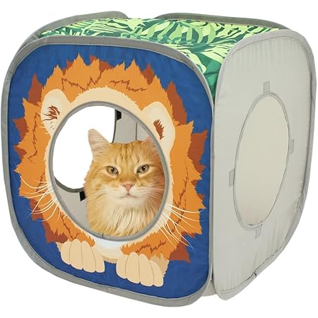 Cat Tunnel Heart To Tail Collapsible Cat Cube Condo Aldi