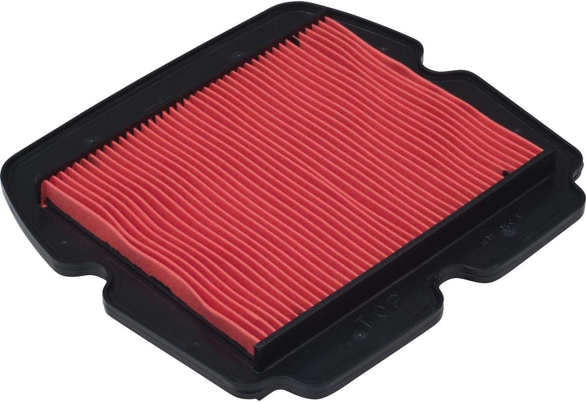 5-418 Air Filter Honda Goldwing GL1800