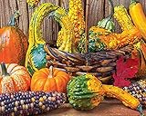 Springbok's 1000 Piece Jigsaw Puzzle Harvest Colors