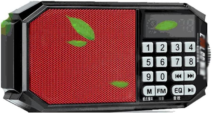 Audio Semiconductor Radio Mini Card Portable Music Player