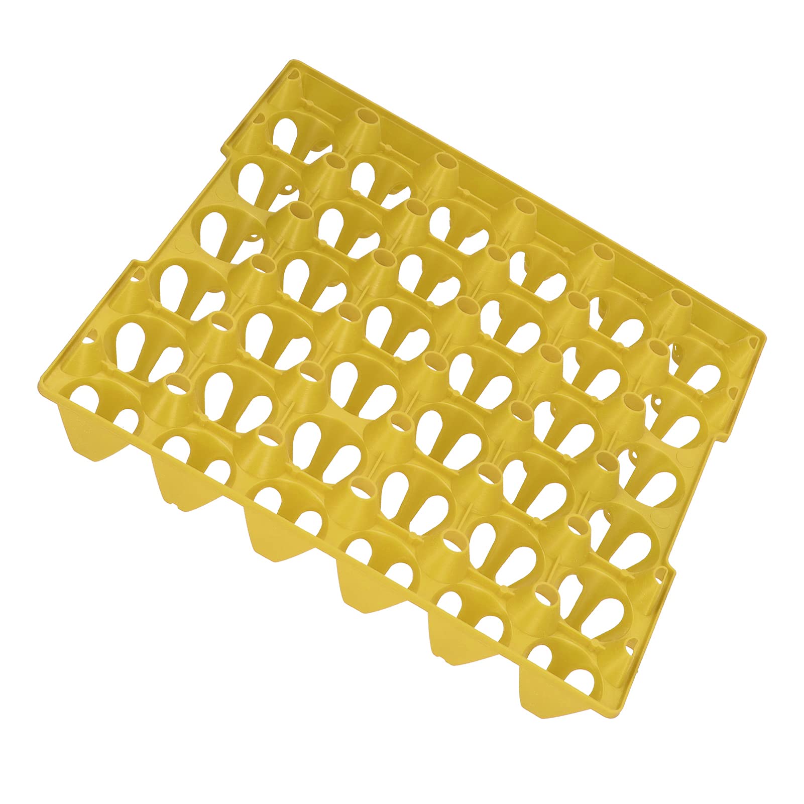 Bewinner Lot de 5 Plateaux à œufs en Plastique à 30 Cellules pour le Stockage et le Transport, Support à œufs Empilable et Réutilisable pour de Poule, Récipient à Extra Large pour Fournitures de
