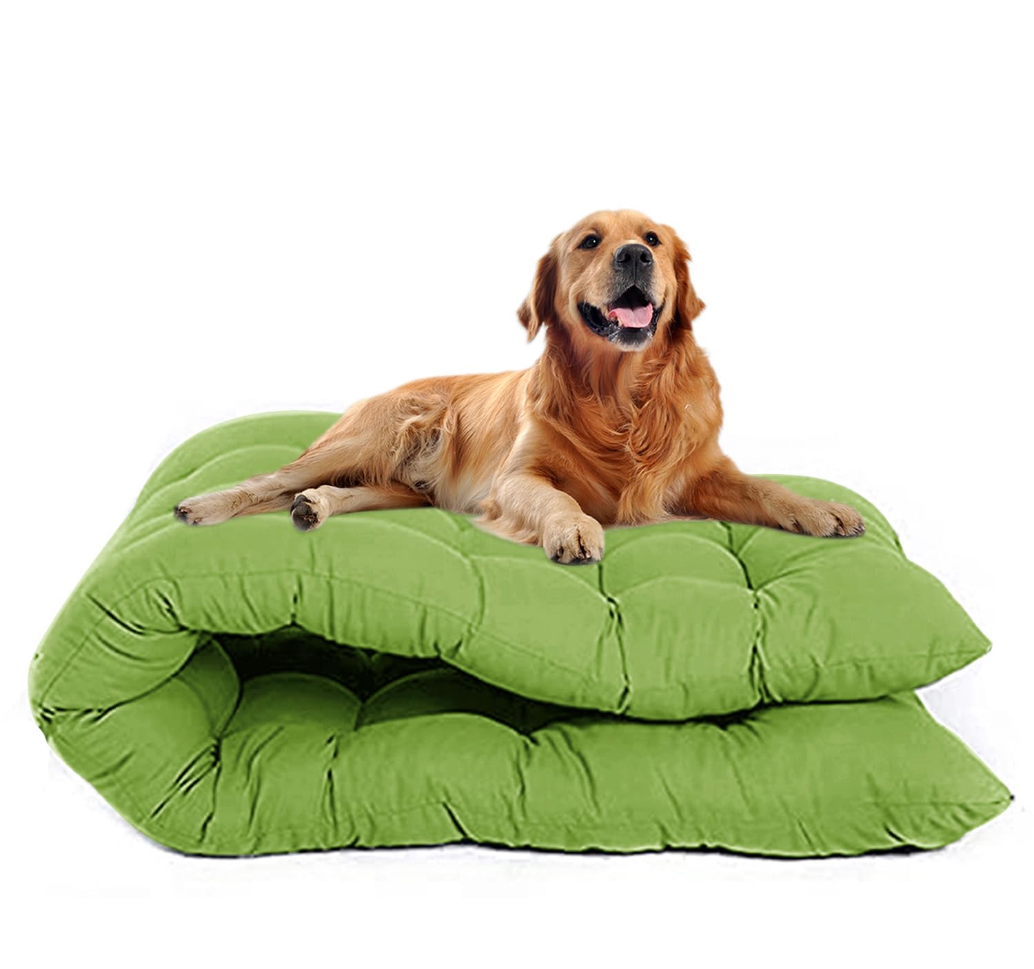 Waigg Kii Extra Large Dog Bed Mattress,Washable Calming Pet Crate Bed Mat Durable,Anti Anxiety Large Dog Beds Mattress for Pet Large Dogs (Green,100x60CM)