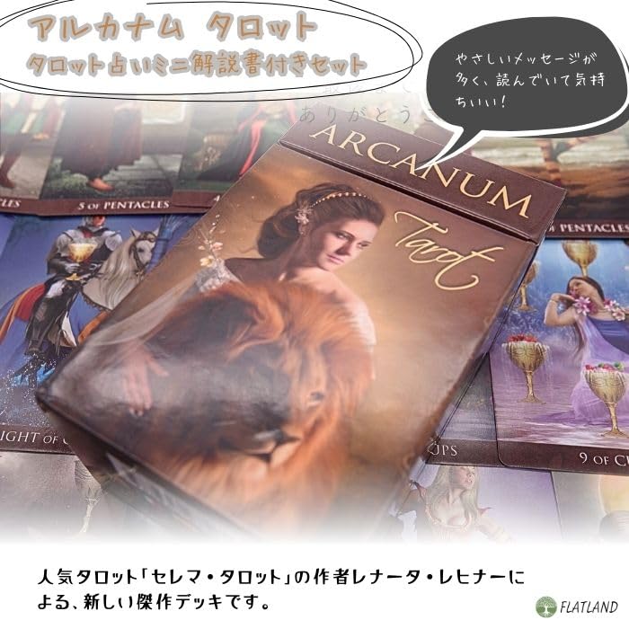 Amazon.co.jp: Arcanum Tarot FLATLAND 78 Tarot Cards : Toys & Games