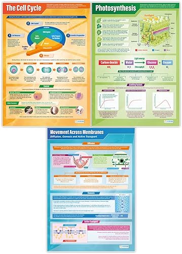Miniatura 4 de Daydream Education Pósteres de ciencias educativas de biología  Juego de 13 pósteres de biología  Extra Grande 33 x 23 pulgadas de papel brillante