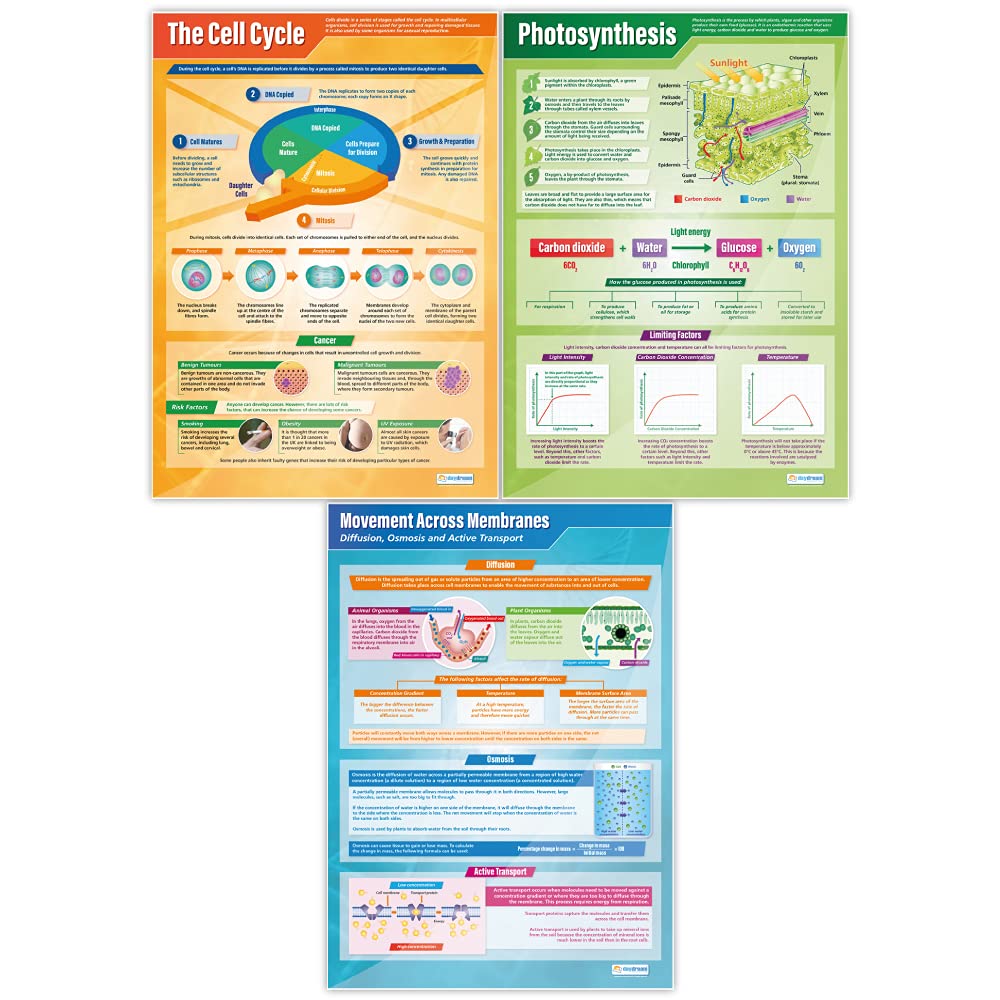 Daydream Education Plakaty biologiczne, zestaw 13 sztuk, plakaty naukowe, papier z połyskiem o wymiarach 850 mm x 594 mm (A1), wykresy naukowe dla klasy, wykresy edukacyjne