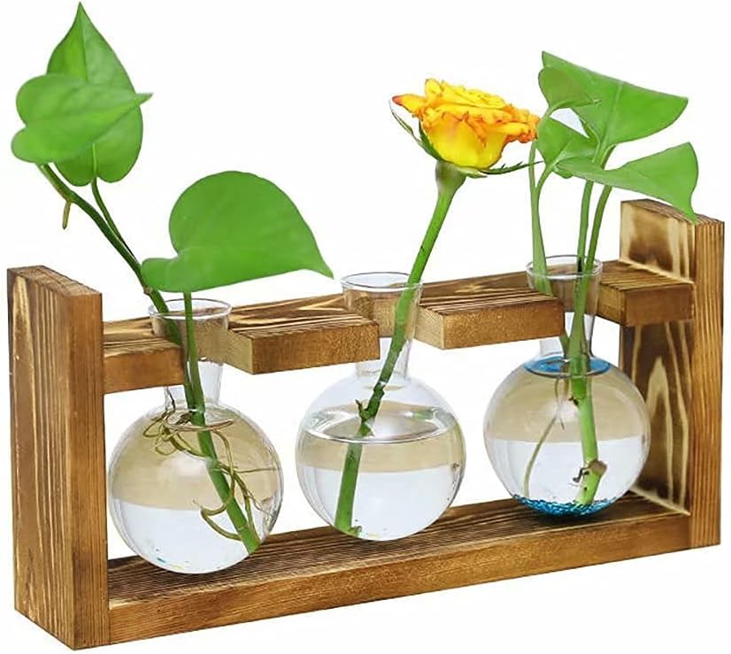 Ivolador Plants Terrarium Glass Hydroponic Bulb Terrarium