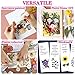 iDattel Natürliche Getrocknete Blumen,Blumen Natürliche Gemischte,DIY Natürliche Getrocknet Blumen Set für Kunst Basteln DIY Harz Scrapbooking Handwerk Karten Machen（Rosa weiße）