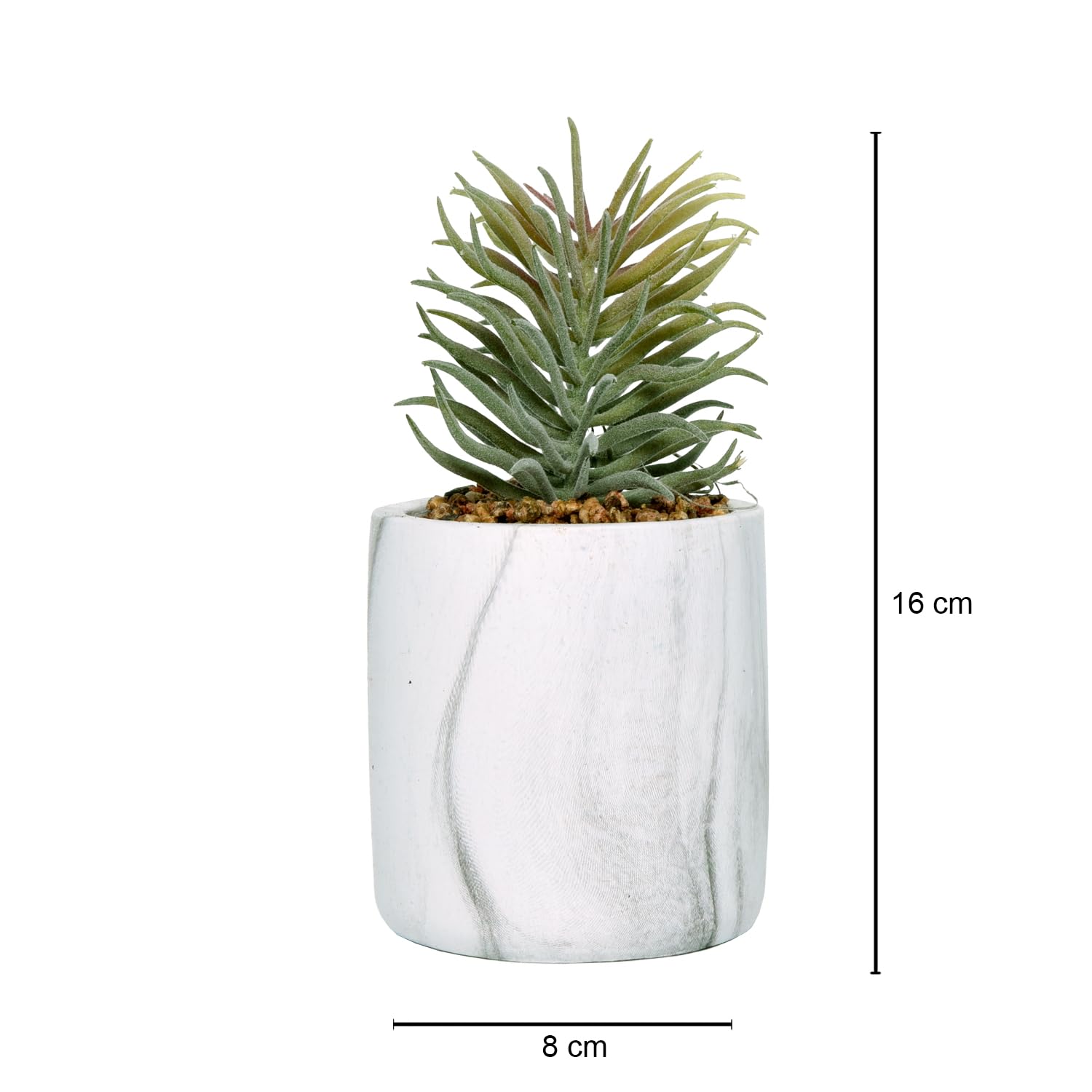 Cortina Potted Plant Eco Sustainable Flower for Home - Multicolor-3 4