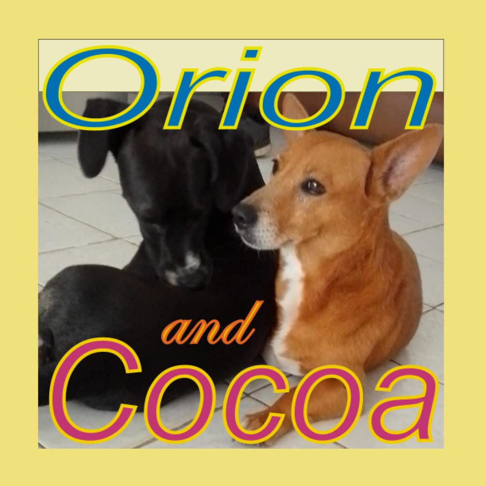 Orion and Cocoa (Las aventuras de Orión)