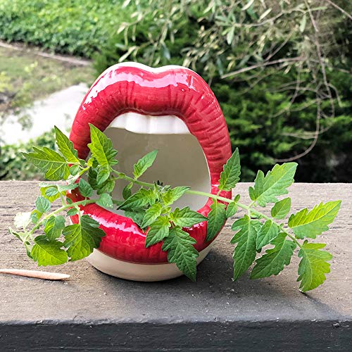 Lemonadeus Multi-Role Ceramic Sexy Lips Planter Stylish Lip Pot/Gadget Storage Mouth Planter Unique Ash Tray Ceramic Container (Red) #TOP2