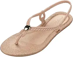 Sandália Rasteirinha Feminina Todo Dia Delicada Grendha