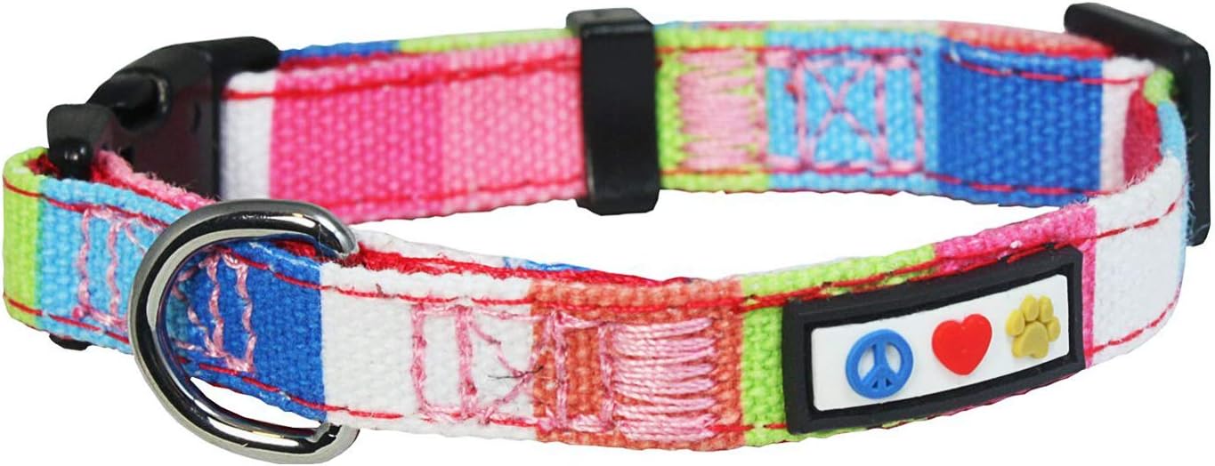Multi coloured dog collar Clearance
