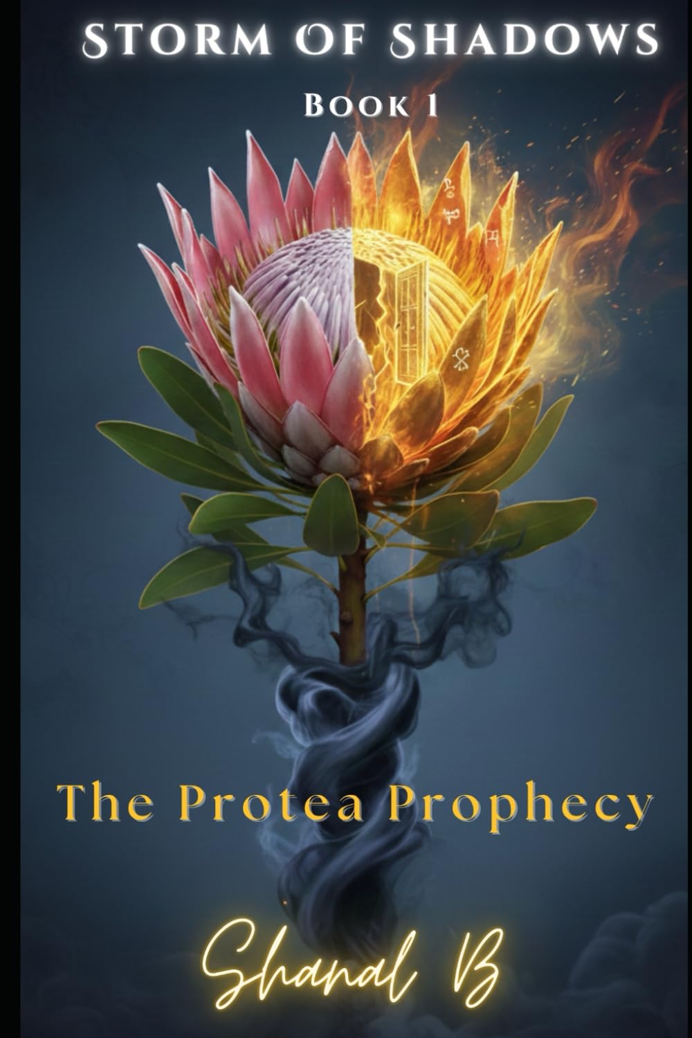 Storm of Shadows: Book One of The Protea Prophecy