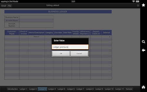 Ledger Pro – vue 5