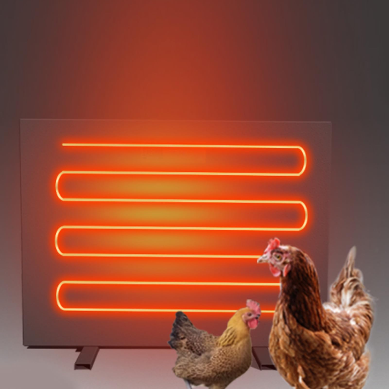 Calentador de Gallineros, Función de Temporizador de 3 Metros de 3 Metros, Cooperación de Pollo, Panel de Pollo, Panel Caliente, Encendida de Hierro de 150W, Visualización Digital con Control