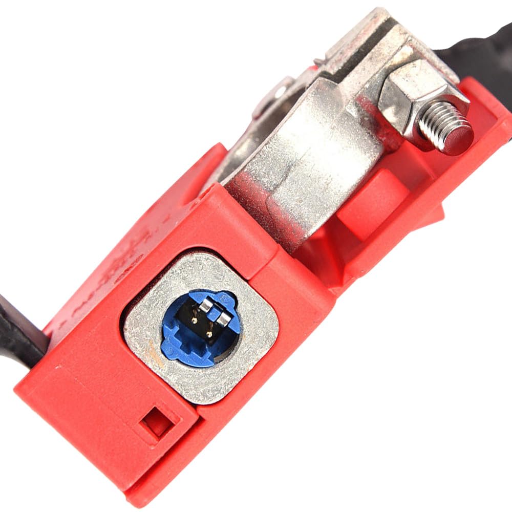 Câble de batterie Riloer, câble de batterie positif, câble de fusible de batterie de voiture, 9214506-02, 61129259425, 61 12 9 259 425, A-02BCA1102ard