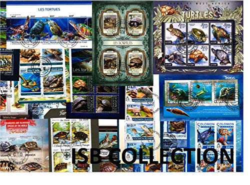 25 sellos de diferentes bloques de tortugas Cover