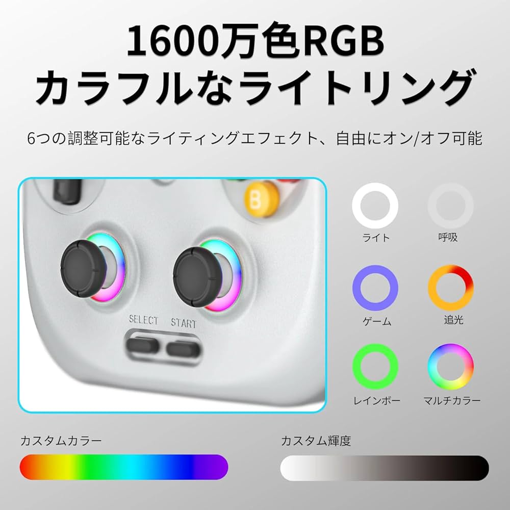 RG406V （ベージュホワイト） 専用ケース付 RG406V （ベージュホワイト） 専用ケース付 テレビゲーム