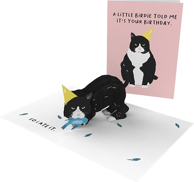 Central 23 Pop Up Birthday Cards For Women & Men - 3D Pop-Up Card for Cat Lovers - Funny Cat Birthday Card - For Mum Dad Daughter Son Sister Brother