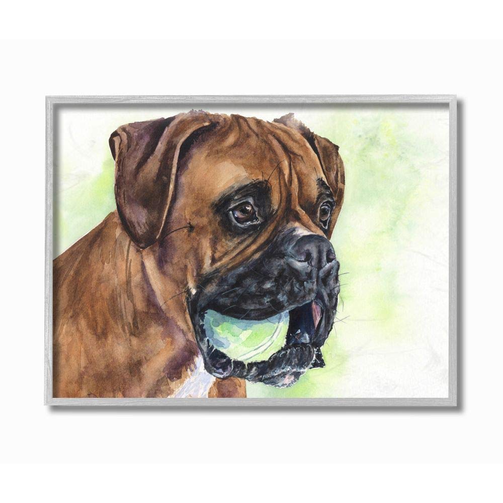 Stupell Industries Boxer with Ball Dog Pet Animal Watercolor Painting Gray Framed Wall Art Multi-Color