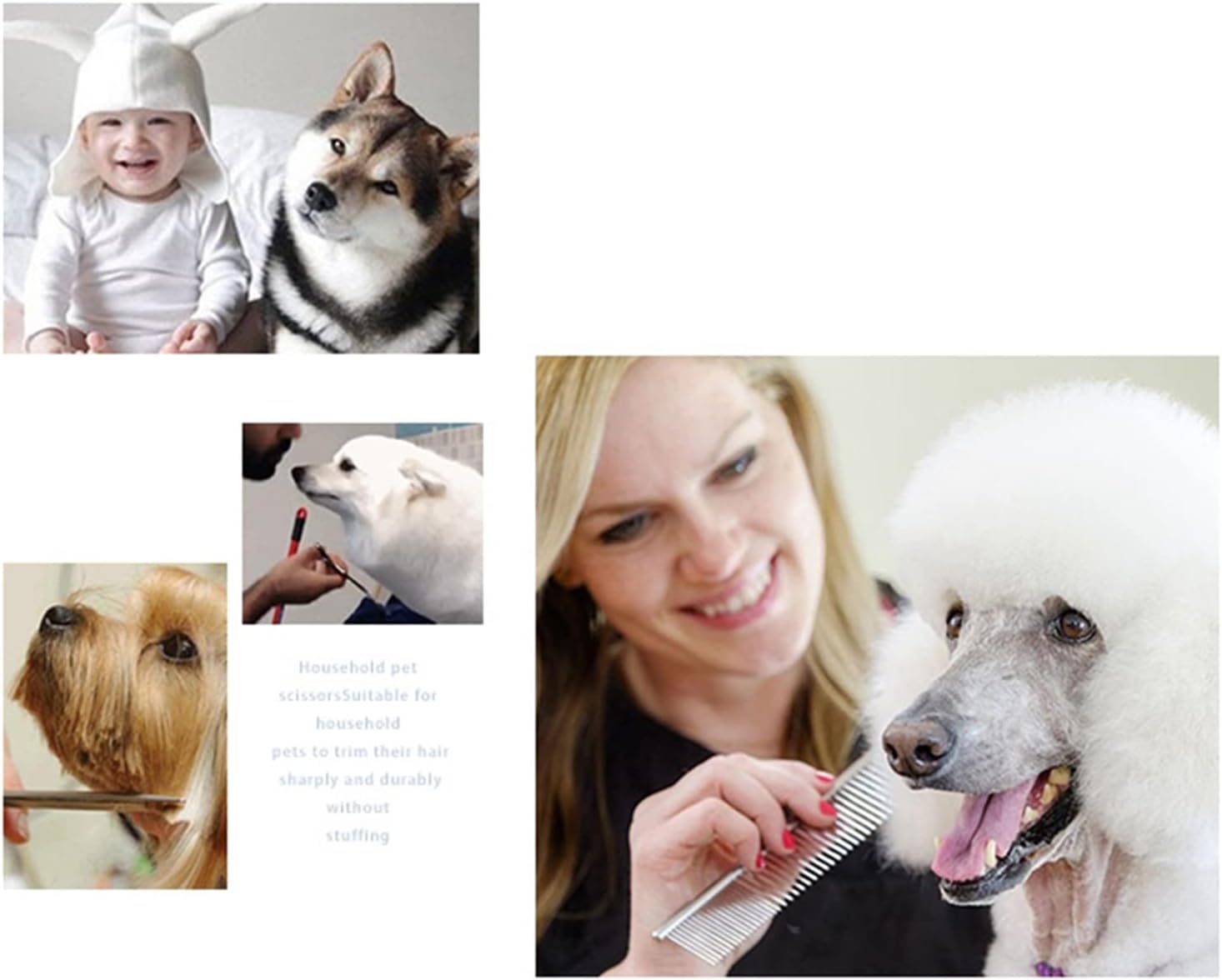 Pet Grooming Scissors Set, 4 Pieces, Stainless Steel, Curved and Thinning Scissors, Portable PU Leather Case, Corrosions, for Long Haired Pets