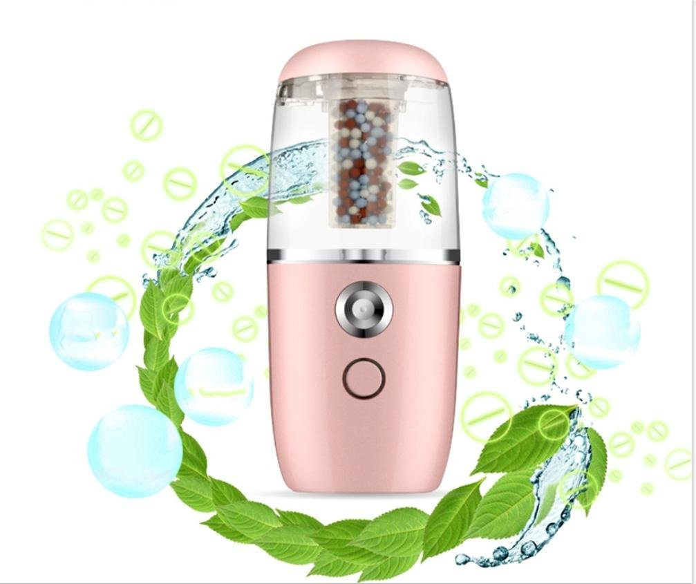 HL Samochód Usb Nawilżacz Anionowy Oczyszczacz Powietrza Instrument Kosmetyczny Nawilżający, Różowy, 122X52X30Mm, różowy, 122X52X30mm