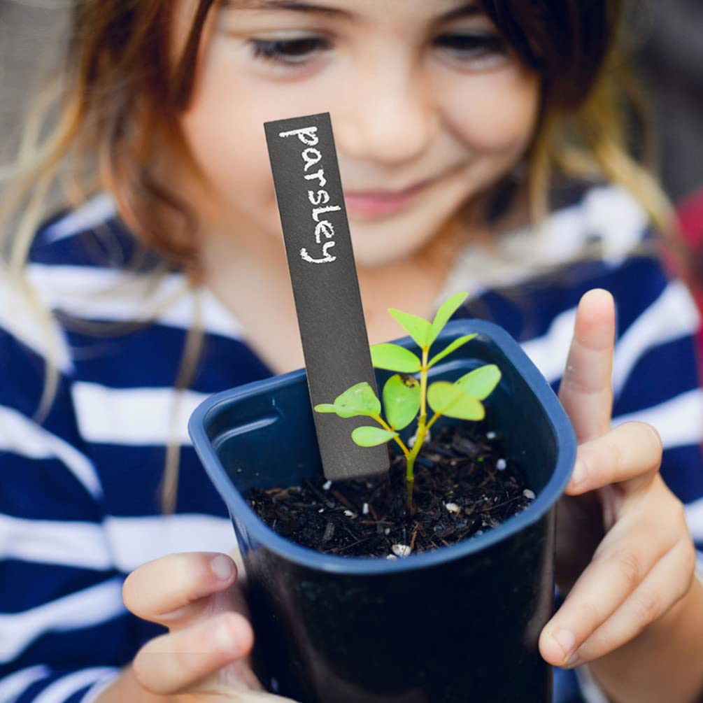 12 Pcs Ardoise Plante étiquette de Jardin Plantes étiquettes de Pépinière de Pépinière étiquettes D' étiquettes pour Plantes de Pots de Pots Etiquette Ardoise Jardin