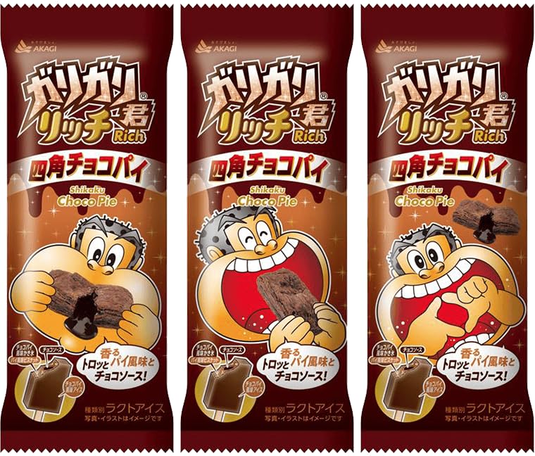 Amazon.co.jp: 赤城乳業 ガリガリ君リッチ 四角チョコパイ100ml×24袋