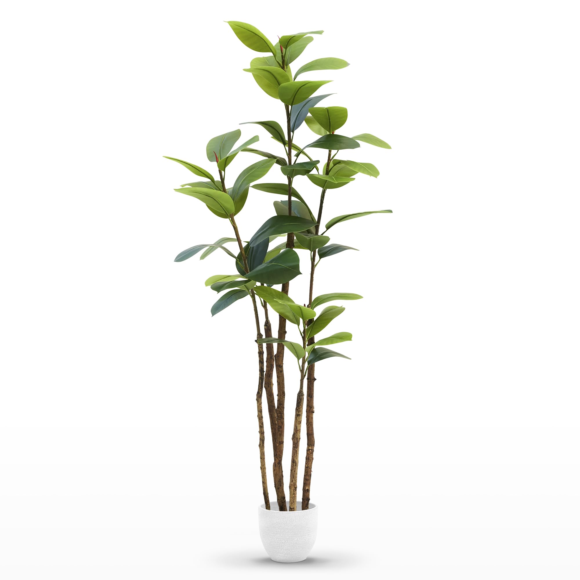 Maia Shop Ficus Elastica Artificiel 180 cm - Faux Arbre d'Intérieur