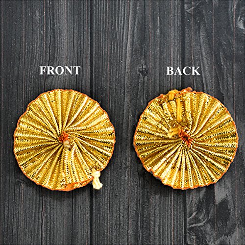 Embroiderymaterial Gota Patti Flowers Appliques Patches For Embroidery Decoration And Craft Making(Gold Color,100 Pieces)4Cm #TOP2