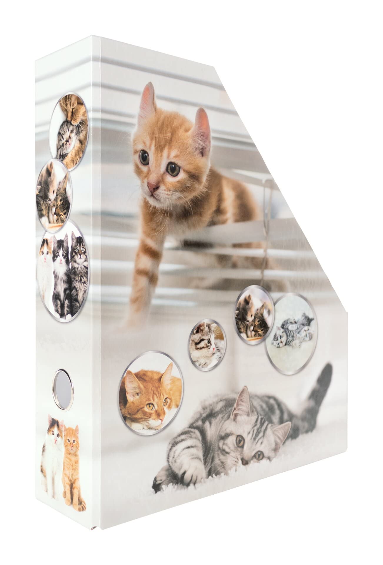 HERMA 19717 Magazine File A4 with Cat Motif, 7.5 cm Wide, Foldable, Sturdy Cardboard - Image 2