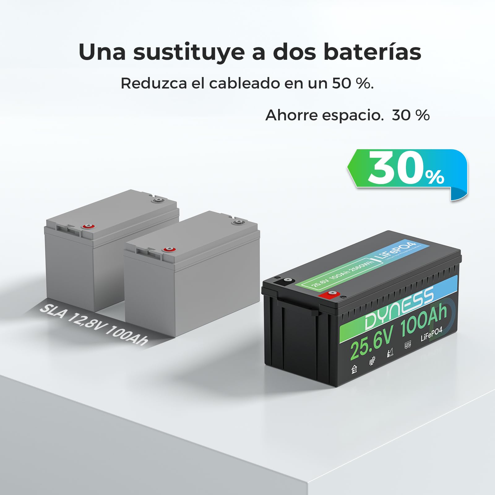 Dyness Batería Litio 24V 100Ah LiFePO4 con BMS 100A Protección Bajas Temperatura para Camper Solar