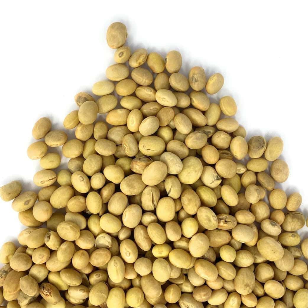 Il Contadino - Antichi Sapori | FAGIOLI ZOLFINO | Legumi Secchi, Ricchi di Proteine Vegetali e Fibre, Legumi Naturali di Qualità Premium, Senza Conservanti, Confezione Salva Freschezza (5 Kg)