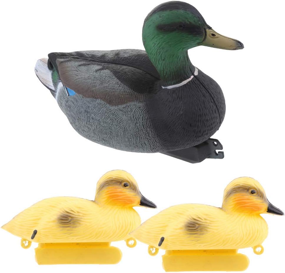 esca per anatra per piscina