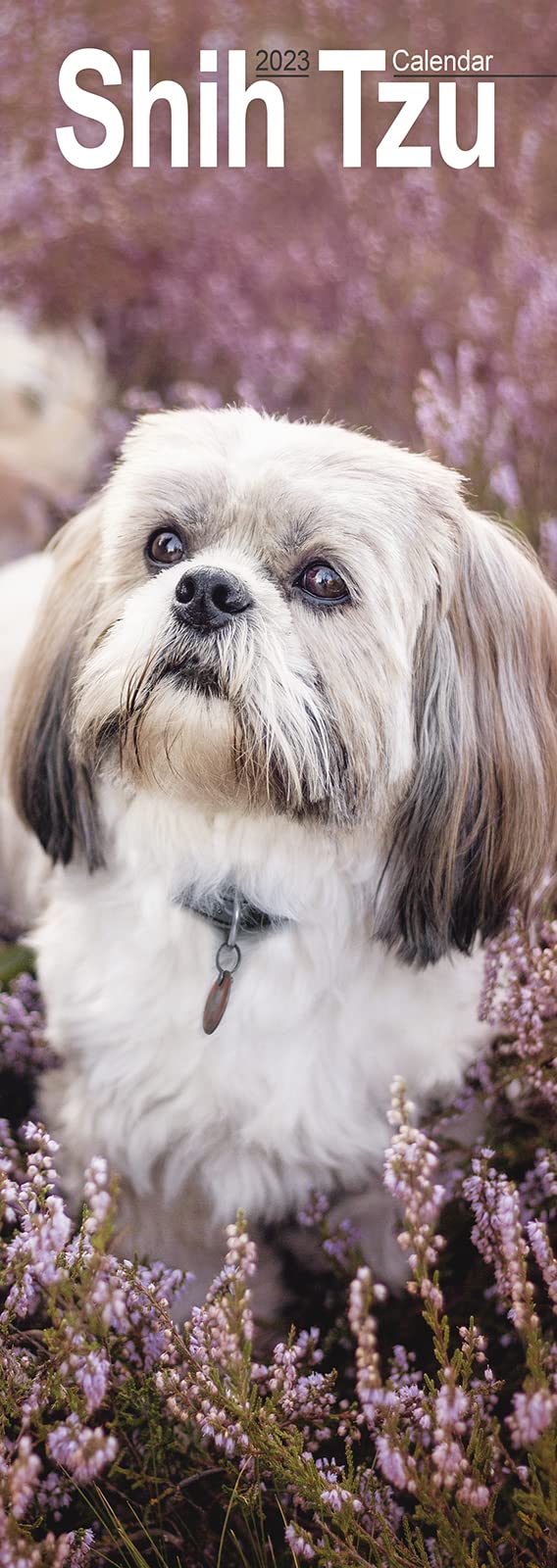 Shih Tzu Slim Calendar 2026 | Dog Breed Slimline 12 Month Wall Calendar | January to December 2026 | With Free Organisational Stickers, Plastic Free