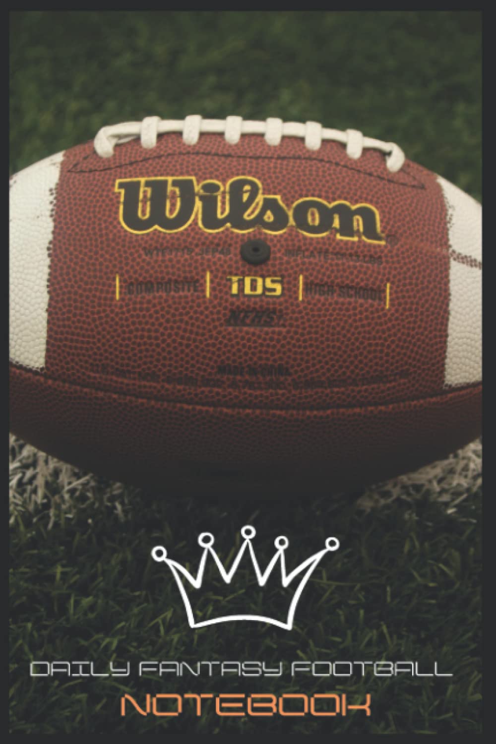 Daily Fantasy Football Notebook