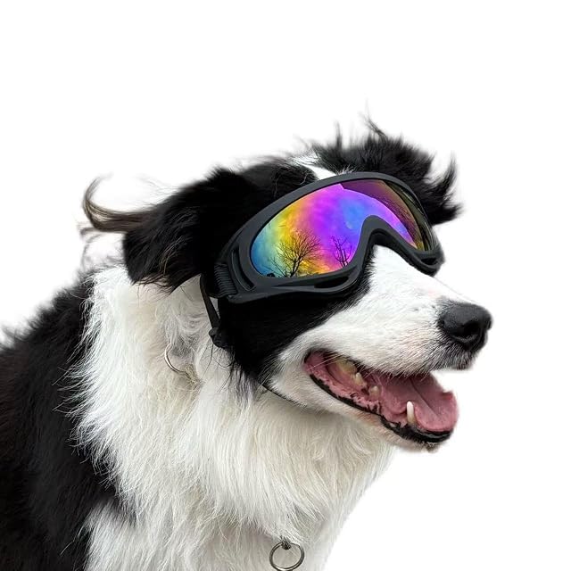 Foto 2 de 2 de 2 gafas para perro con protección UV, correa ajustable, color morado y naranja