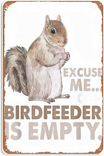 Señales de metal con texto en inglés "Squirrel Excuse Me Your Birdfeeder Is Empty" ("Squirrel Excuse Me Your Birdfeeder Is Empty")