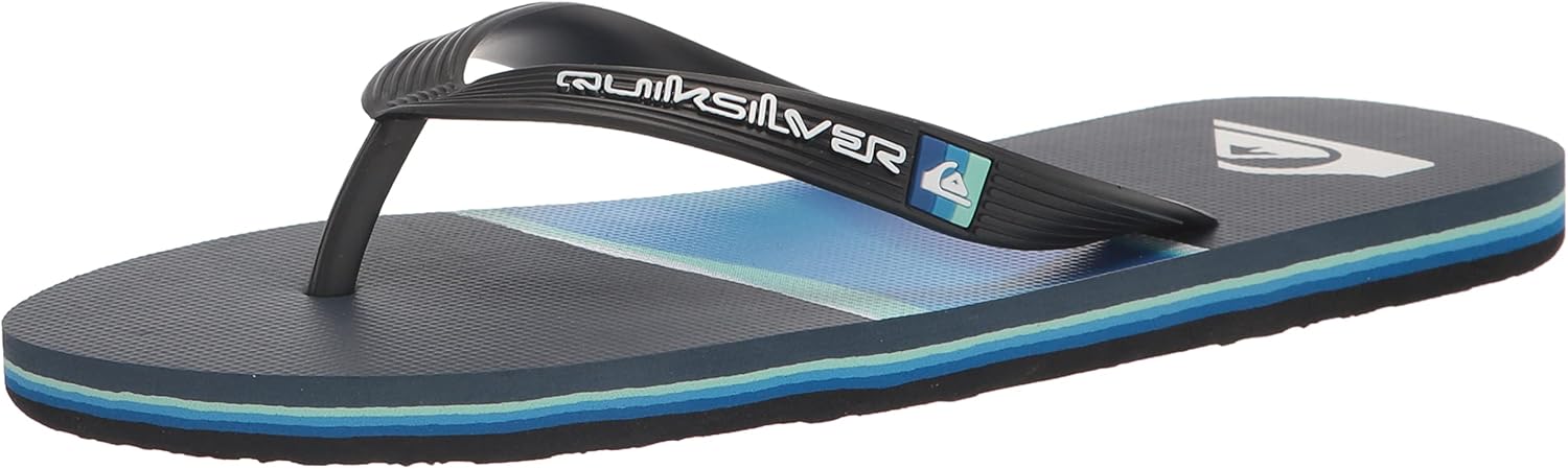 Quiksilver Men's Molokai Airbrushed 3 Point Flip Flop Sandal, Blue 1, 13