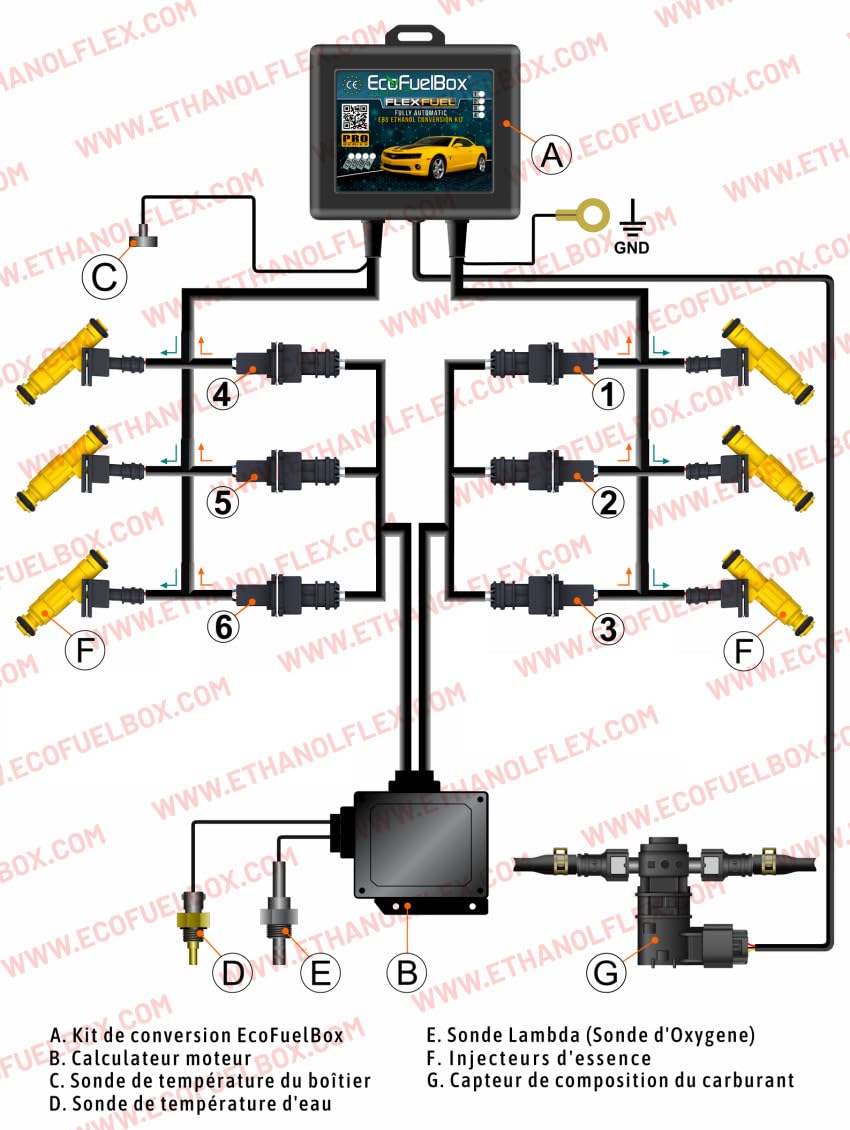 Kit éthanol Boitier de Conversion E85 6-cyl avec CAPTEUR DE Carburant pour Voitures/Motos: Jaguar, Mercedes, Land Rover, Renault, Citroen, Peugeut, BMW, Ford (Connecteurs Bosch EV1)