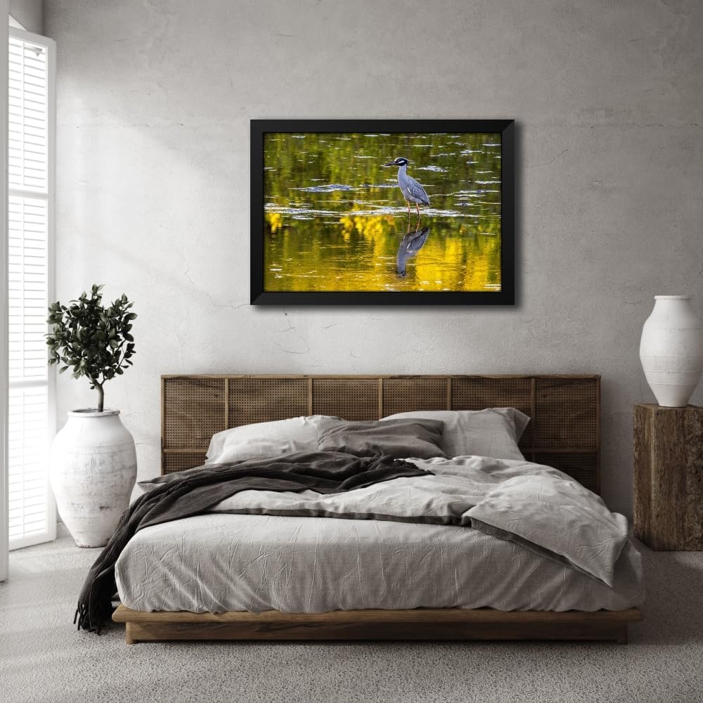 ArtDirect Yellow crowned night heron in Ding Darling National Wildlife Refuge on Sanibel Island-Florida-USA Custom Framed Art Print Giclee Print or Canvas Options with Various Sizes and Customization by Haney, Chuck (604678)