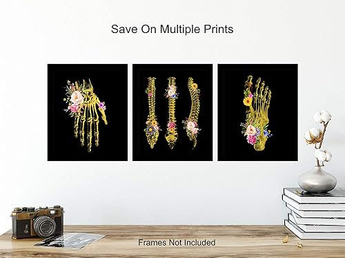 Miniatura 5 de Hand, Foot, Spine Medical Anatomy Wall Art Print - Unique Flower Skeleton - Original Gothic Home Decor for Dr Office - Gift for Doctor, Physician,
