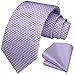 HISDERN Purple Ties for Men Lavender Tie and Pocket Square Classic Polka Dot Silk Necktie Handkerchief Elegant Formal Wedding Party Men's Neckties