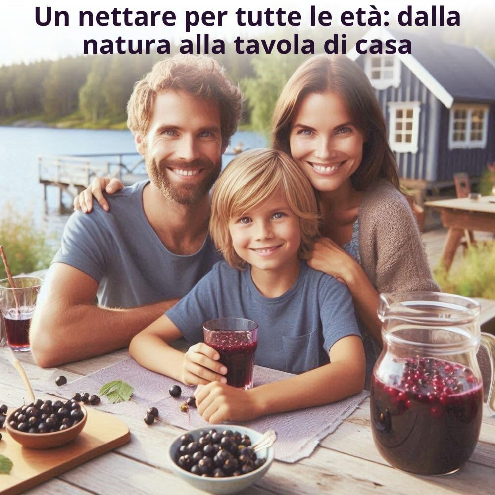 Succo di Mirtillo Nero Selvatico, 100% puro, denso, in Bag in Box da 2 Litri, senza aggiunta di acqua, zuccheri e conservanti - Origine Svedese - Paracelsus.Farm