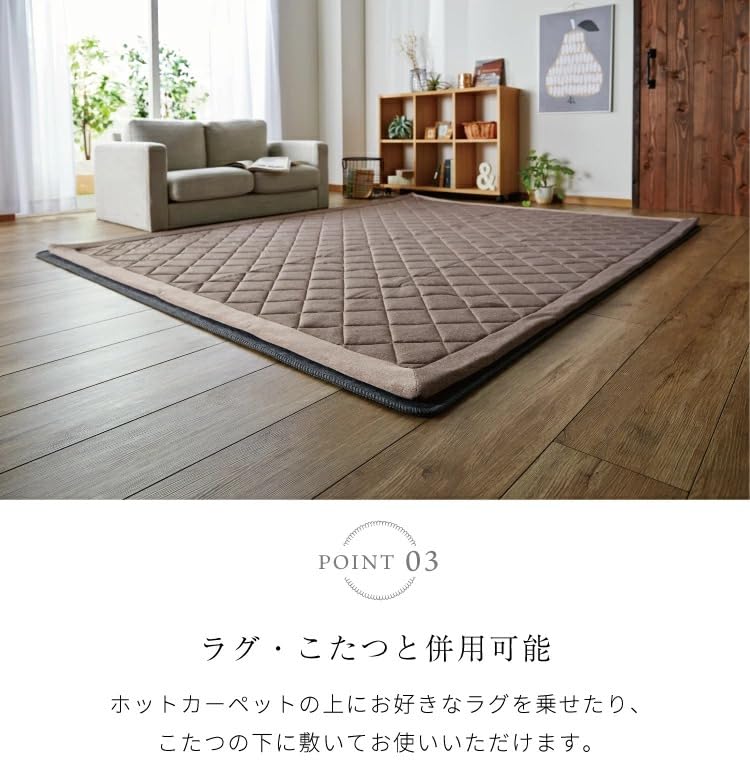 日本製 ホットカーペット 3畳 省エネ 6時間オフタイマー ダニ退治機能付 暖p Amazon | 日本製 省エネ ホットカーペット 3畳 6時間オフタイマー ダニ