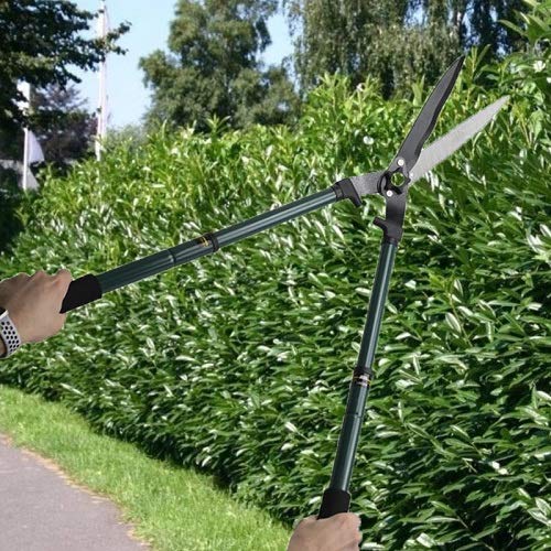Amig Cesareccia Estensibile A Due Mani – Lama In Acciaio Temprato Rivestito Teflon, 600 Mm, Manico Telescopico 68-88 Cm, Taglio Preciso Per Siepi