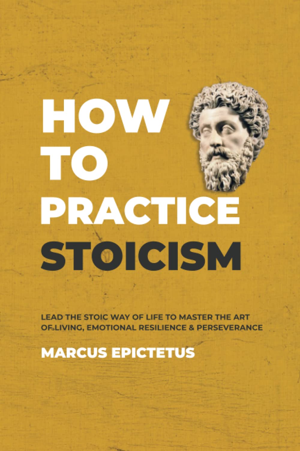 How to Practice Stoicism: Lead the stoic way of life to Master the Art of Living, Emotional Resilience & Perseverance - Make your everyday Modern life